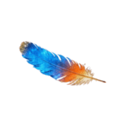 Feather